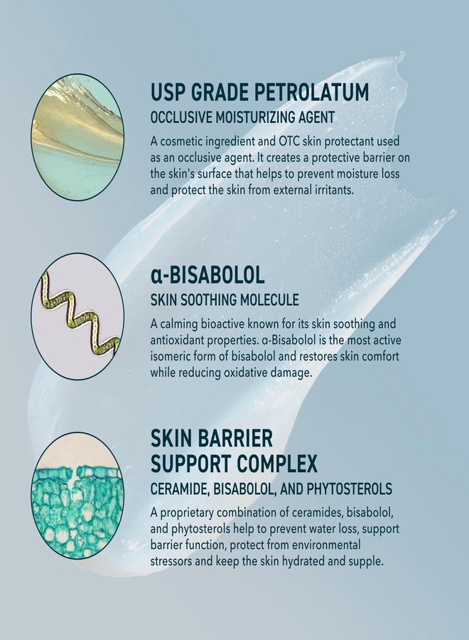 Prequel Skin Utility Ointment, Moisturizing Protectant. Mid-weight Occlusive Face and Body Cream for Dry Skin, Hand Cream for Cracked Hands. Soothing Barrier Protection with 45% Petrolatum - Image 3